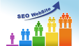 Seo WebSite